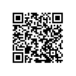 ICE3B3065PBKSA1 QRCode