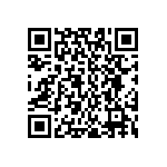 JT06RE22-55SA-424 QRCode