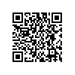 JW-16-04-T-S-250-250 QRCode