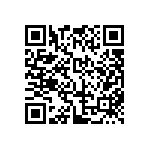 JW-17-04-T-S-250-250 QRCode