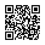 K3091251A000G QRCode