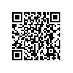 K6BLWH1-53NLV302 QRCode