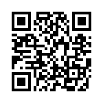 KE041351A000G QRCode