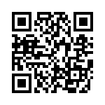 KE341151A000G QRCode