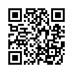 KE381151A000G QRCode