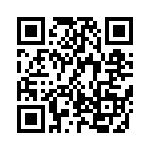 KJB0T13W98HD QRCode