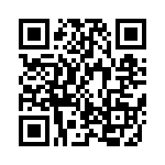 KJB6T13J98AB QRCode