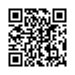 KJL6T21B41PAL QRCode