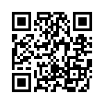 KT0401500000G QRCode