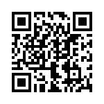 L17158706 QRCode