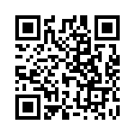 L17159906 QRCode