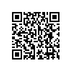 L17DM537441C338 QRCode