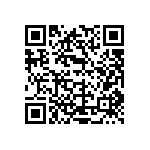 L17DM53745207C309 QRCode