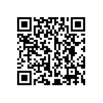 L17DM53745218C309 QRCode