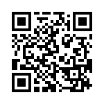 L17H1110131 QRCode