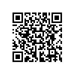 L202-4080033C30000 QRCode