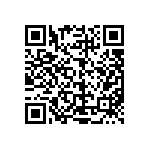 L2C5-40801205E1300 QRCode