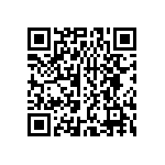 LMLK1-1REC4-29133-2 QRCode