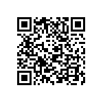 M55342H01B4E99RT5 QRCode