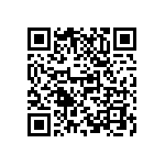 M55342H04B1E13RWS QRCode