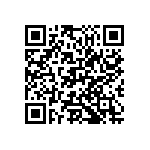 M55342H04B28E0RWS QRCode