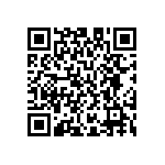 M55342H04B2B55RWS QRCode