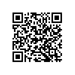 M55342H04B33B2RT5 QRCode