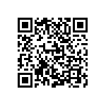 M55342K02B243BRWS QRCode