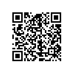 M55342K02B28B0RWS QRCode