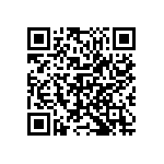 M55342K02B402APWS QRCode