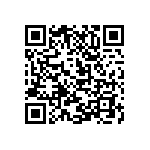 M55342K03B28B0RT5 QRCode