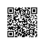 M55342K03B309BRWS QRCode