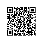 M55342K03B9B09RWS QRCode