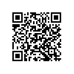 M55342K04B11B3RWS QRCode