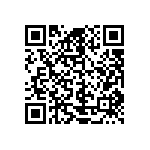 M55342K04B20B0RT5 QRCode