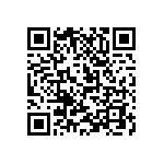 M55342K04B2B10RT5 QRCode