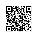 M55342K04B30B1RT5 QRCode