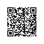 M55342K06B100DRT5V QRCode