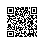 M55342K06B1B00PT5 QRCode