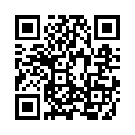 M80-8691022 QRCode