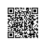 MKP385633025JPP2T0 QRCode