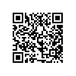 MS22T1-C22-4080-VSM-1-00 QRCode