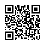 MS27467T13F98H QRCode