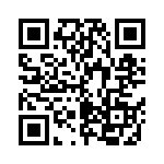 MTCPQKT1P2PGBB QRCode