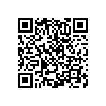 NHQMM101B280T10 QRCode