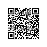 NX3L2G384GD-125 QRCode