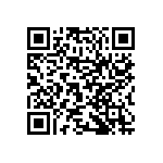 NX3L2T384GT-115 QRCode