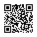 NZX3V6B-133 QRCode