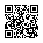 OQ1753800000G QRCode