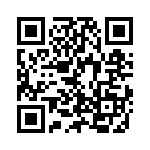 OSTHT242080 QRCode